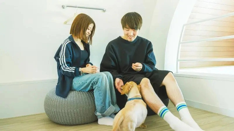 Kosugi Resort With Dogs Lodge