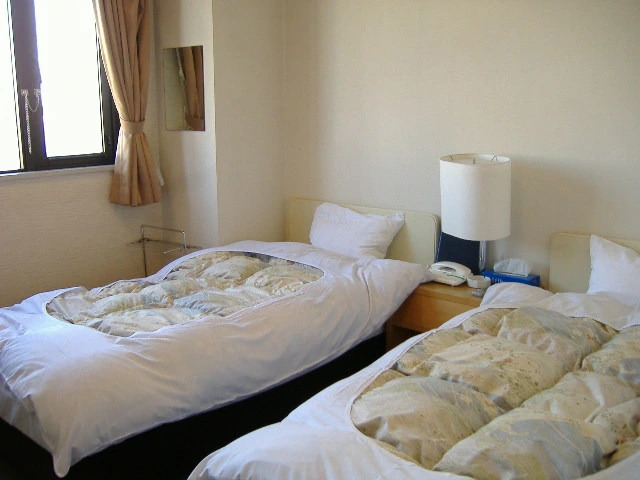 Hotel New Kanei