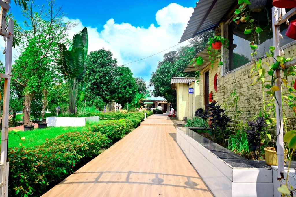 K K Tree Retreat