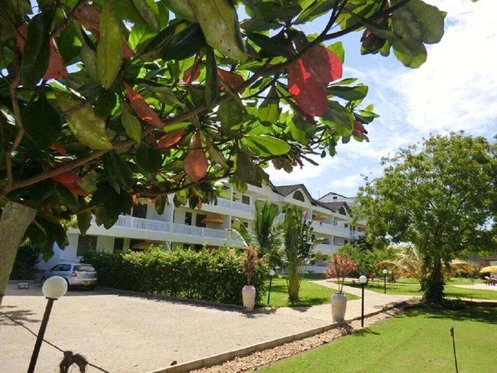 Morning Star Diani