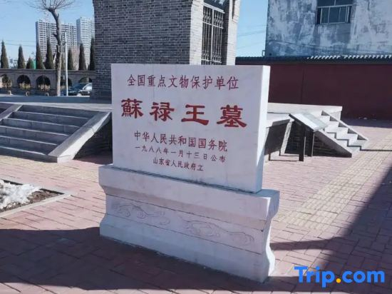 Homeinn · neo Hotel (Dezhou College Pedestrian Street Xuefu Branch)