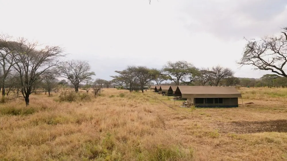 Rongai Eleven Serengeti Camp
