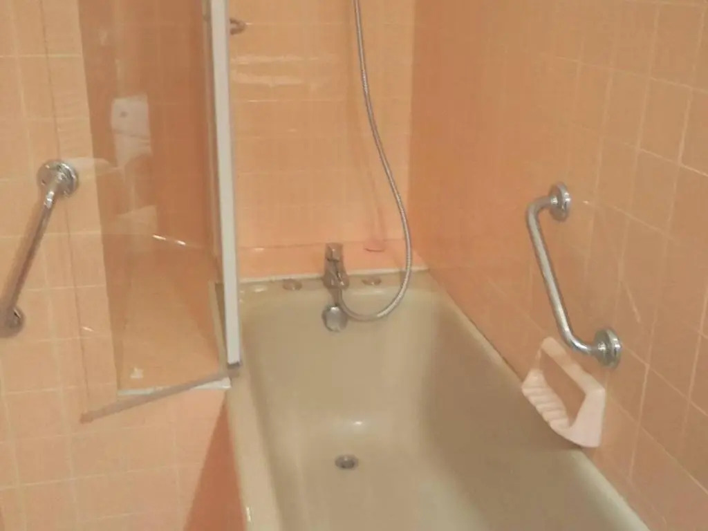 Appartement Cauterets, 2 pièces, 4 personnes - FR-1-234-257