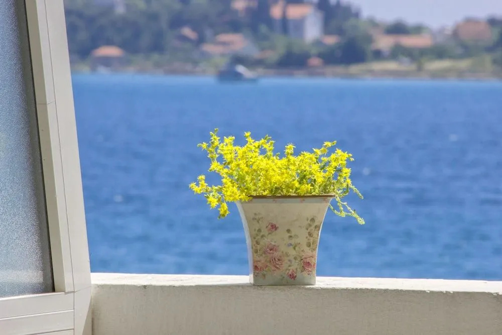 Lagom-VODICE