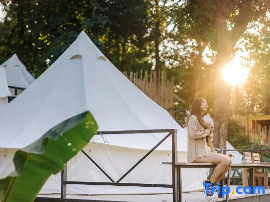 แคมป์ต๊ะต่อนยอน แม่กำปอง เชียงใหม่ CAMP Ta-Torn-Yorn Maekampong Chiang Mai