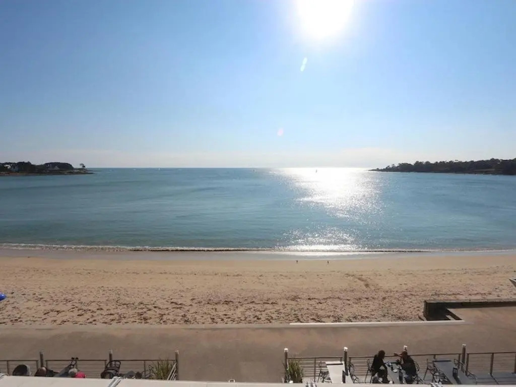 Appartement avec vue mer à 50m de la plage proche thalasso casino et restaurants FR 1 481 157