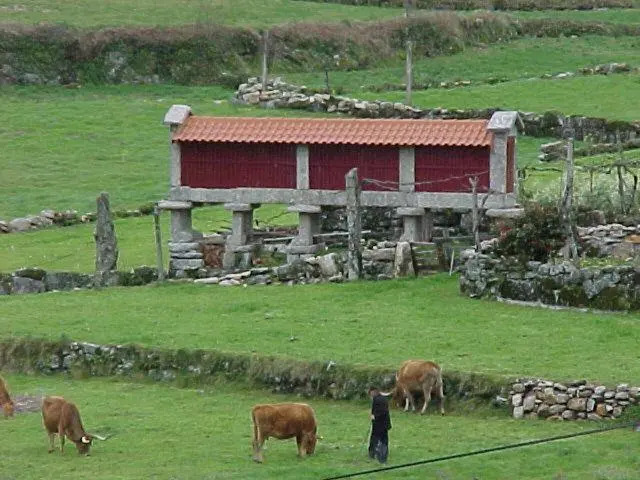 Casa de Campo Monte Abades