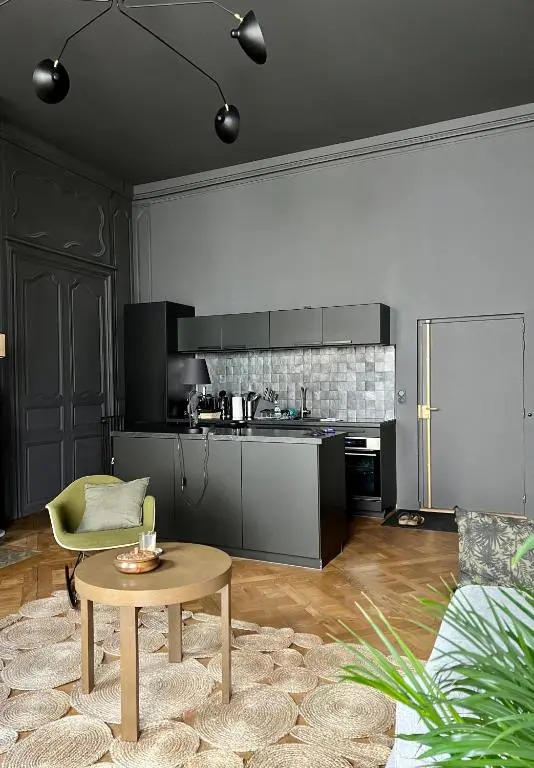 Splendide 2 pièces 65m2 Hôtel Particulier XVII ième siècle-Centre Historique Clermont-Ferrand