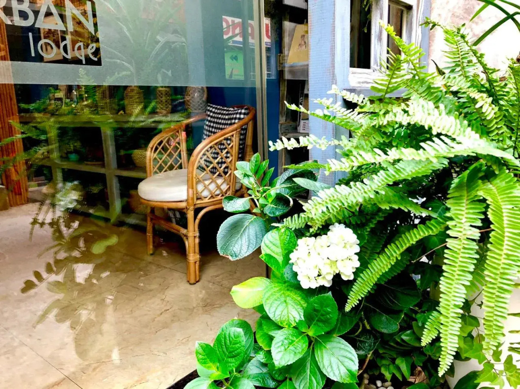 Urban Lodge Hotel Hostel