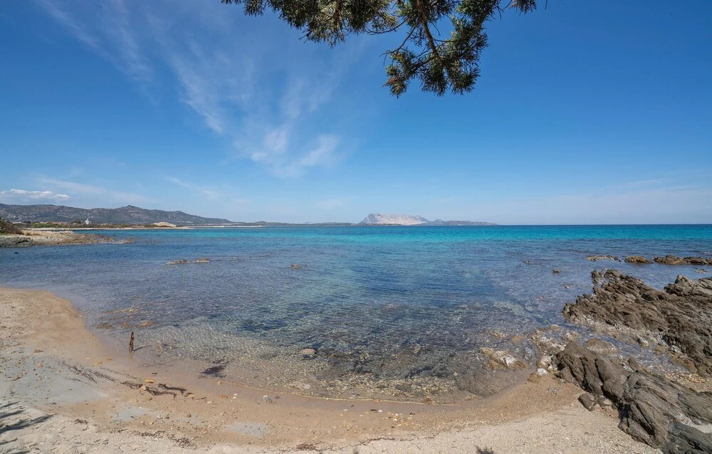 Awesome Home in San Teodoro With Outdoor Swimming Pool and 3 Bedrooms