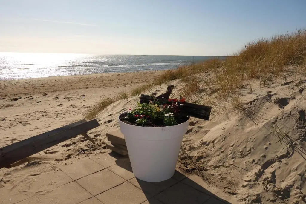FlipFlop Beach Rooms