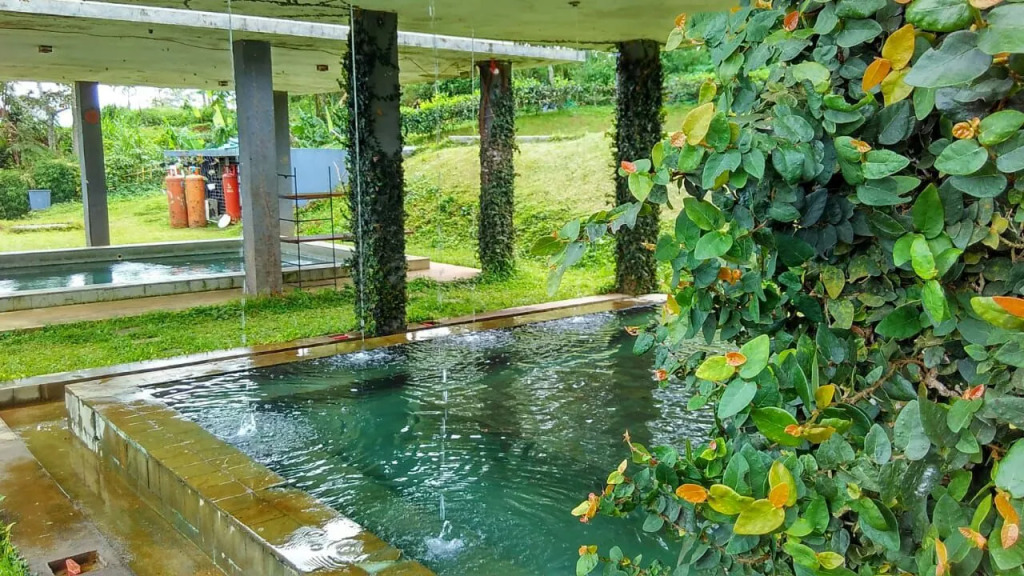 Tea Garden Resort