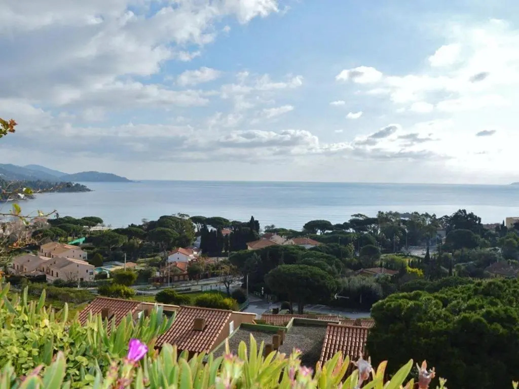 Appartement Le Lavandou, 1 pièce, 4 personnes - FR-1-251-306