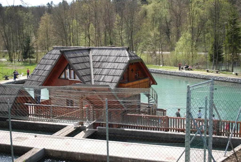 Apartma Mihovc