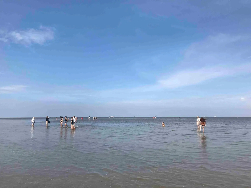 Fewo Grünstrand