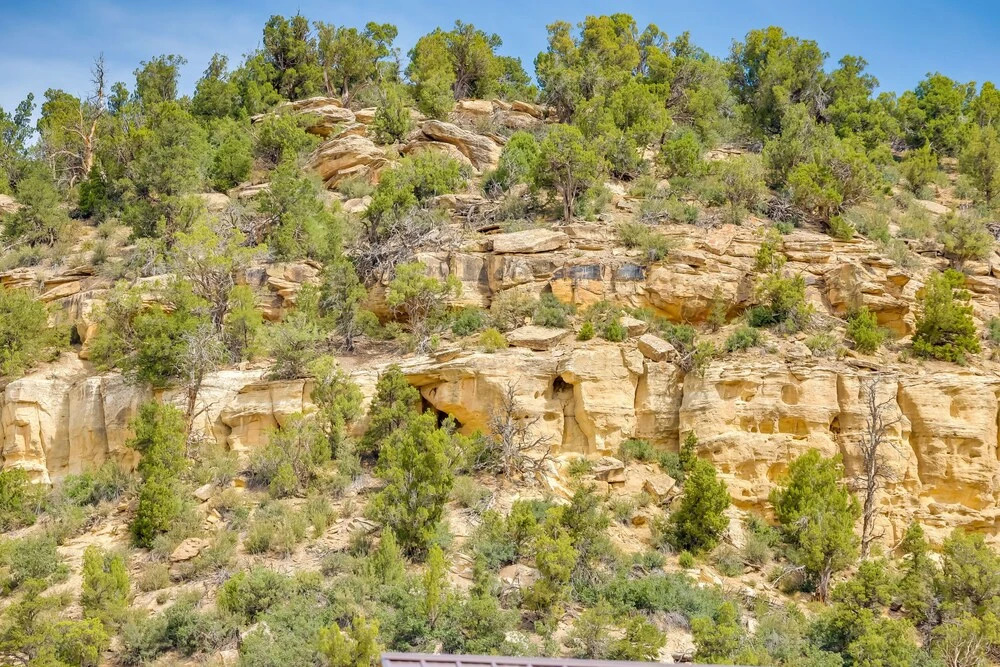 Dolores Townhome w/ Mountain Views: Near River!