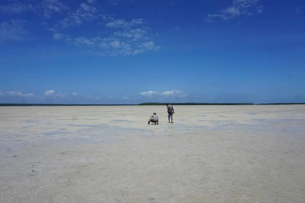 Mida Creek Nature Camp