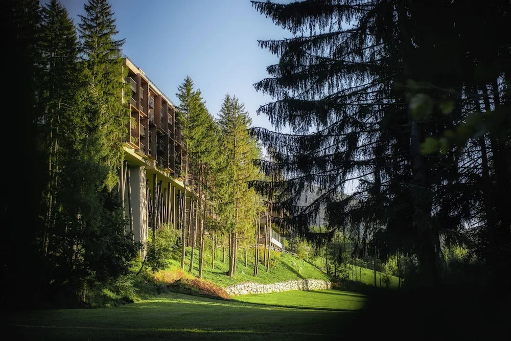 My Arbor - Dolomites