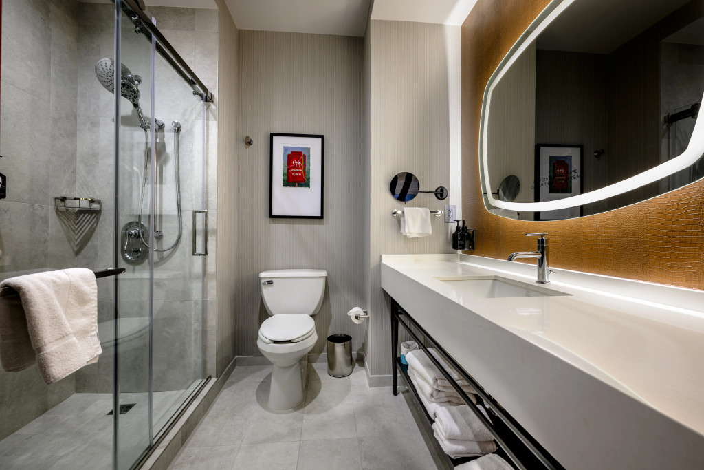 Hotel Indigo Baton Rouge Downtown by IHG