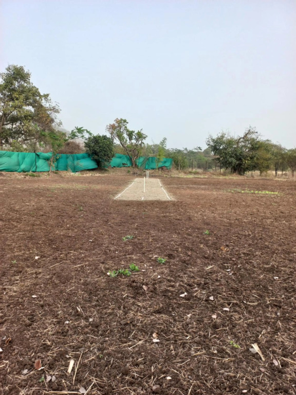 Cocorico Stay Ya! Cottages Alibag