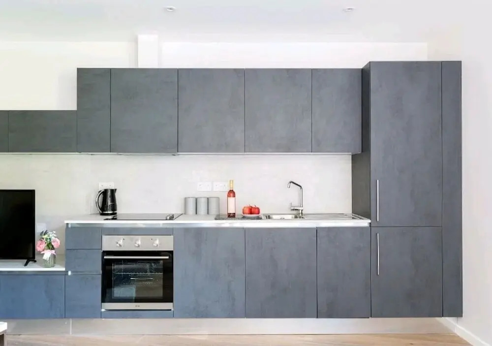 Deluxe Central London North Apartments