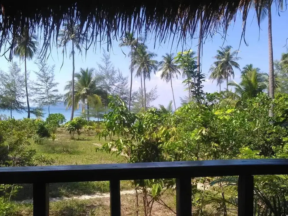 Lonely Beach