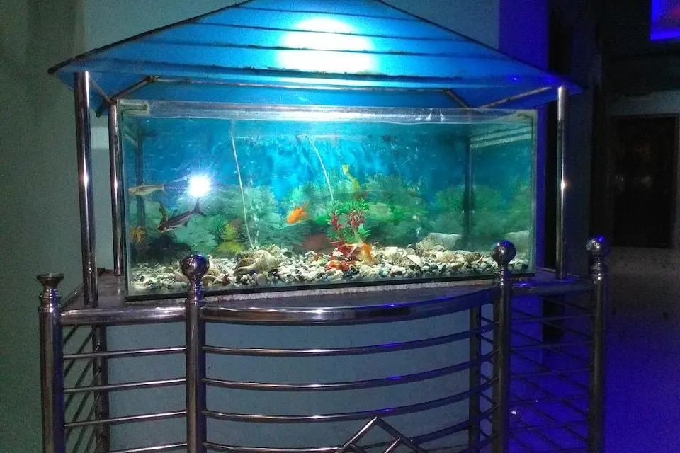 Hotel Mayur