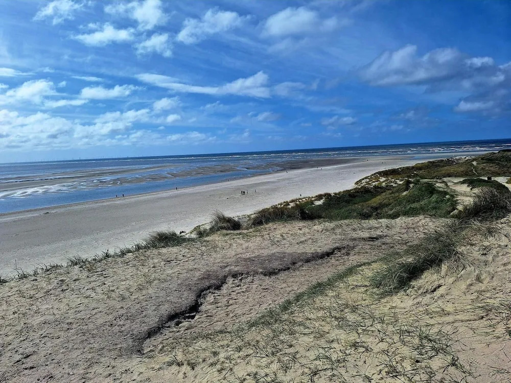 4 Person Holiday Home in Blavand