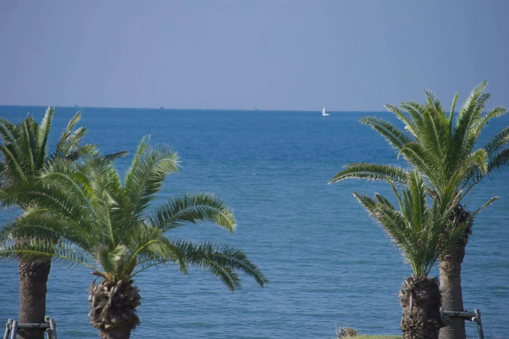 Tateyama Seaside Hotel