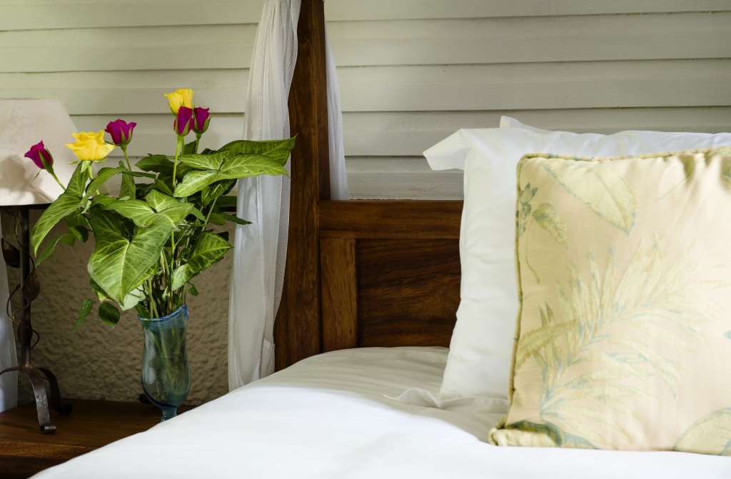 Mount Meru Game Lodge