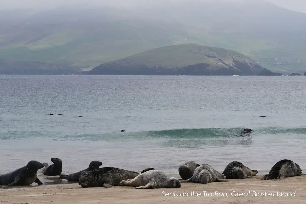 Great Blasket Island Accommodation