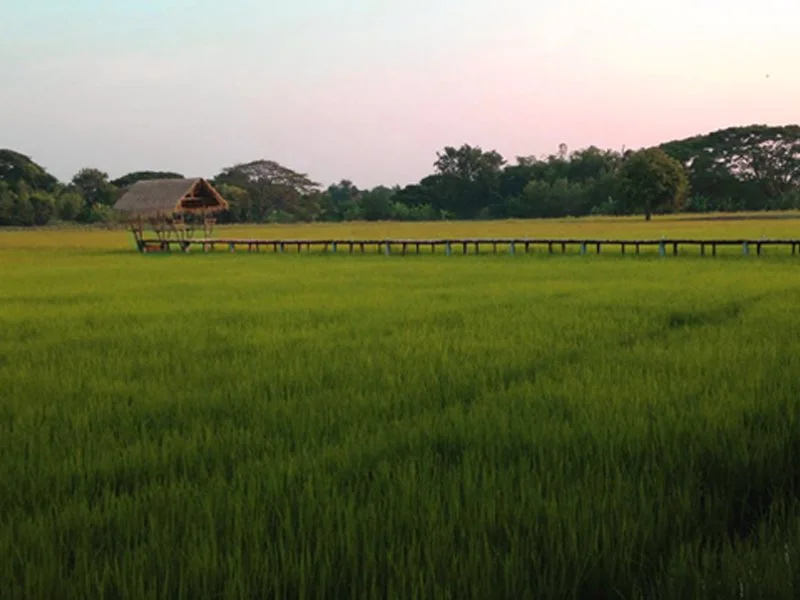 Rungaroon Resort