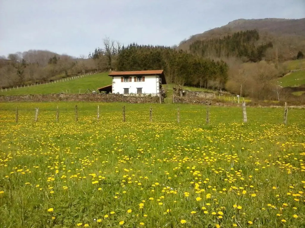 Alberroakoborda