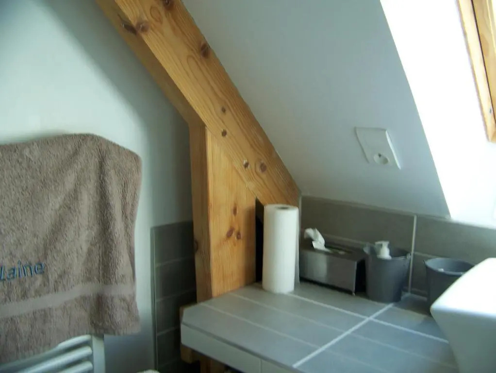 grande chambre lumineuse et spacieuse 22m2