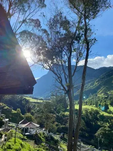 Cabañas Valle del Cocora La Truchera