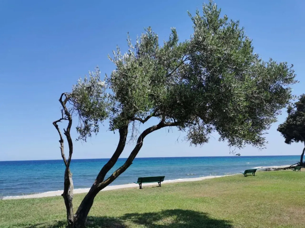 Holiday Home Villa Marie-Jo by Interhome