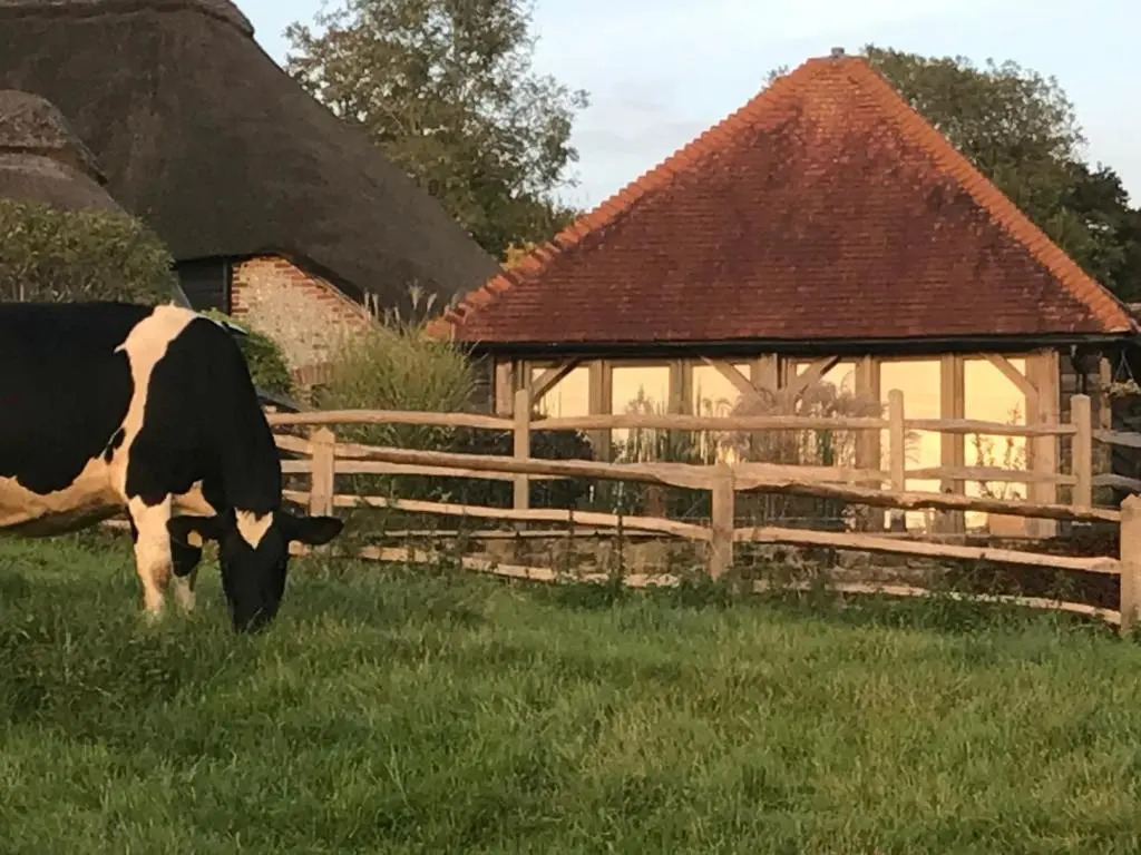 The Cow Hide