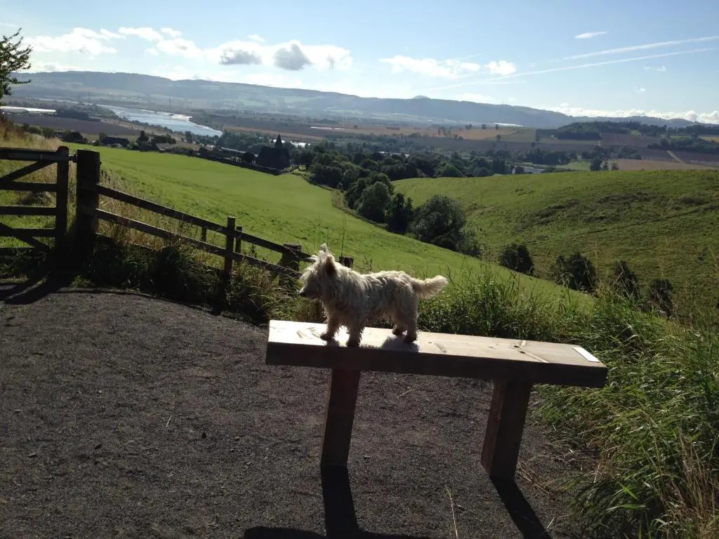 Northlees Farm