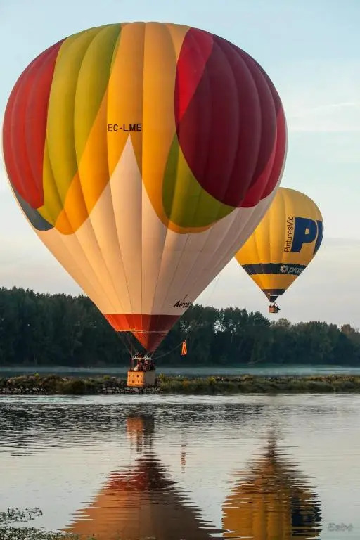 Les Orkys De Loire