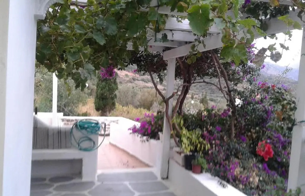 Window To The Aegean