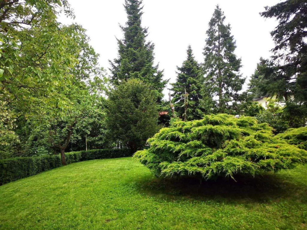 Casa Carla, immersa nel verde dei colli Bolognesi
