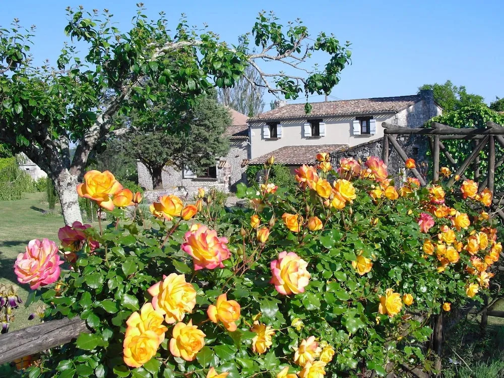 Luxe B&B maison á votre santé, in Bordeaux Wine Region