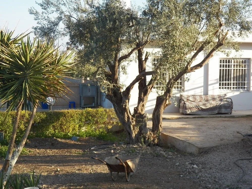 Auberg-Inn Guesthouse