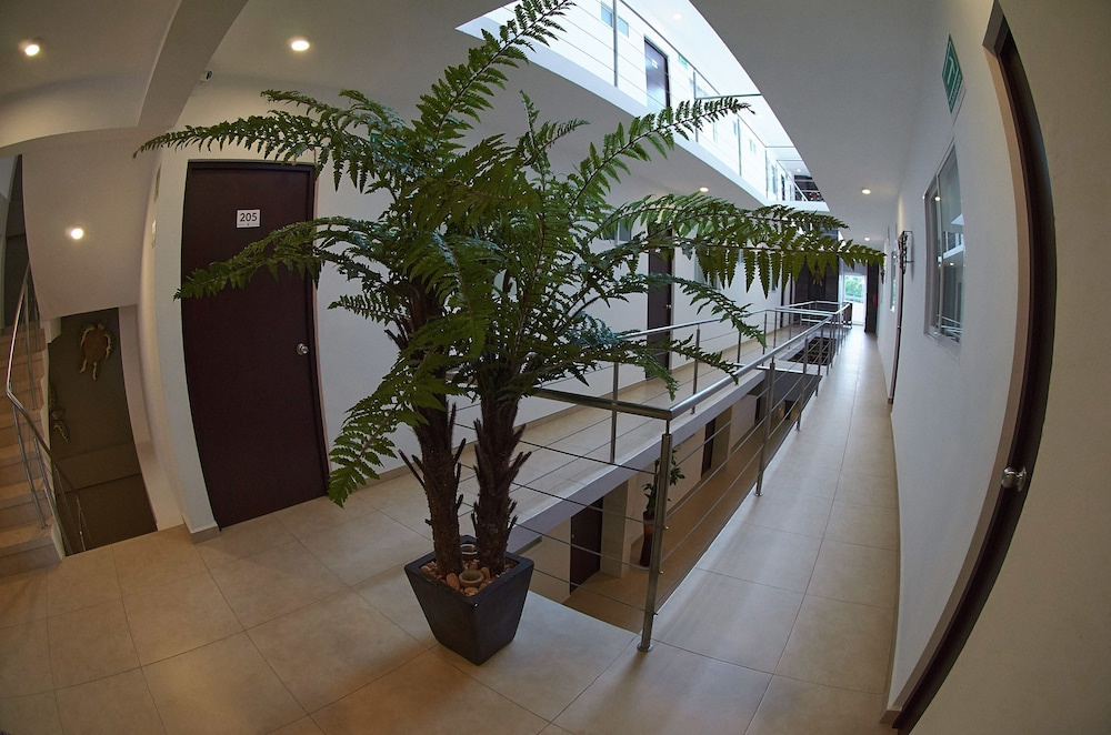 Hotel Boutique Boca - Veracruz