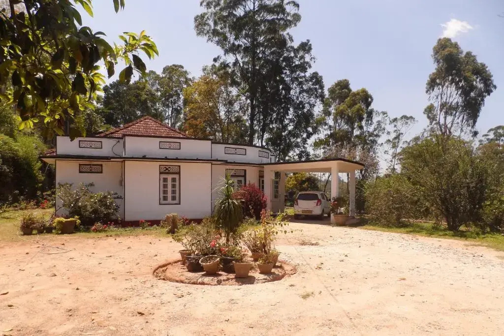 Savana Bungalow & Hostel