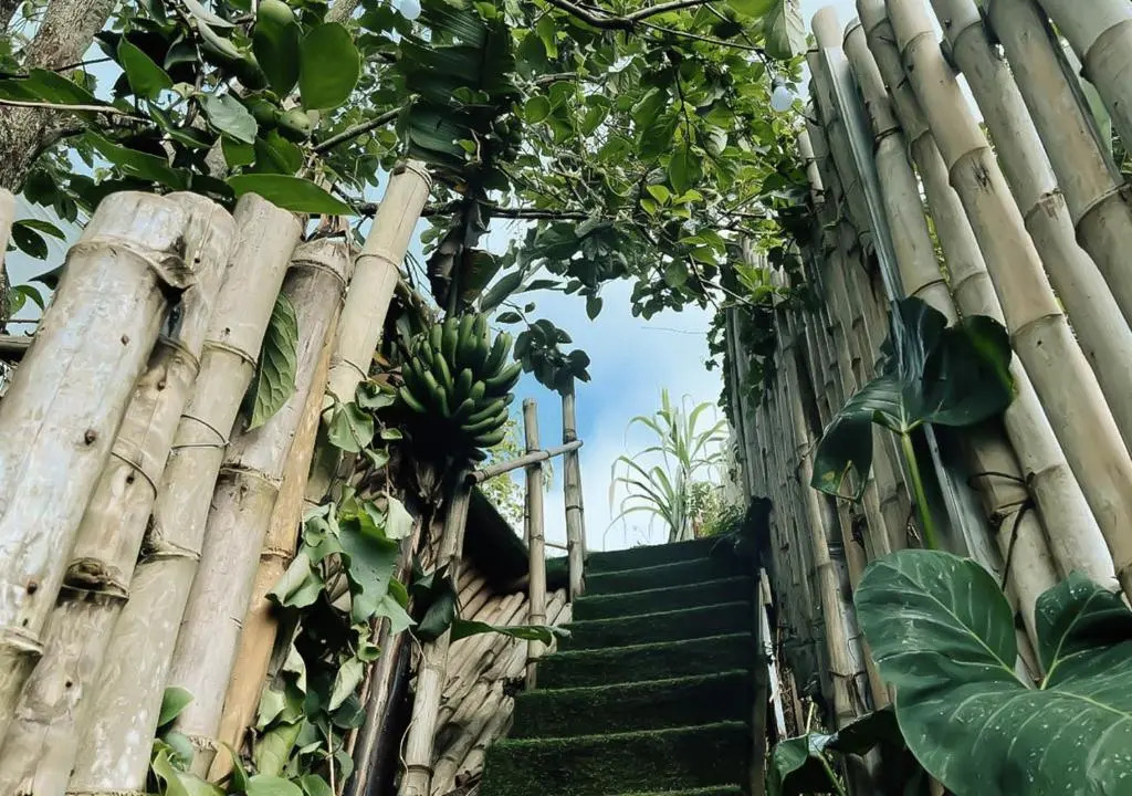 Mộc Glamping & Ecohouse