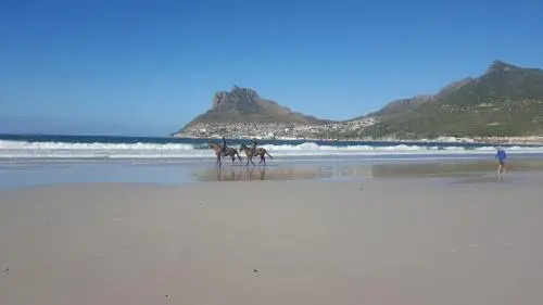 Sandpiper's Nest - Hout Bay