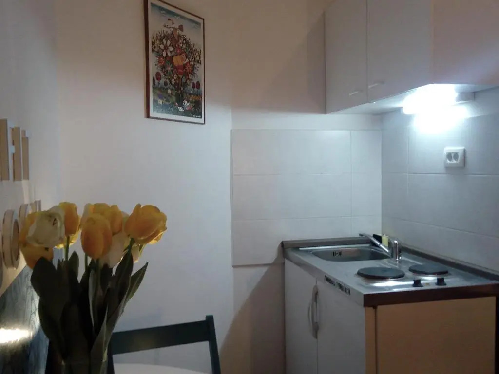 Apartment Optimist/City Break