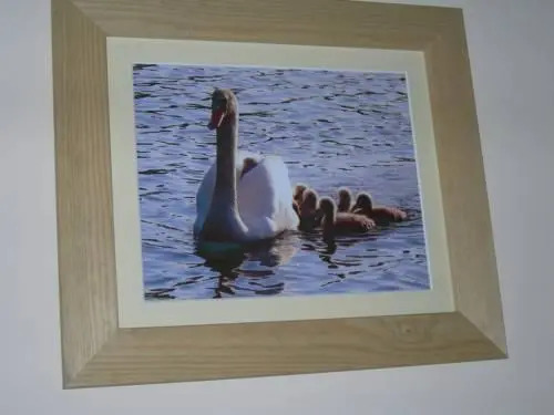The Swan Hotel