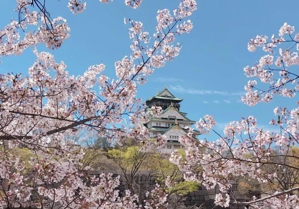 Ryokoheya Hankyukan